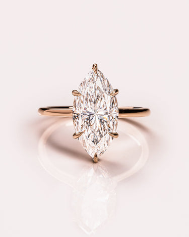 Marquise