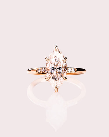 Marquise