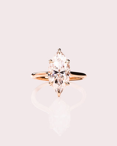 Marquise