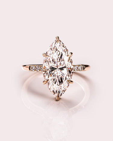 Marquise