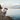 Love Story - Eric & Emilie - Zen Moissanite