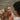 Love Story - Trevor & Mackenzie - Zen Moissanite