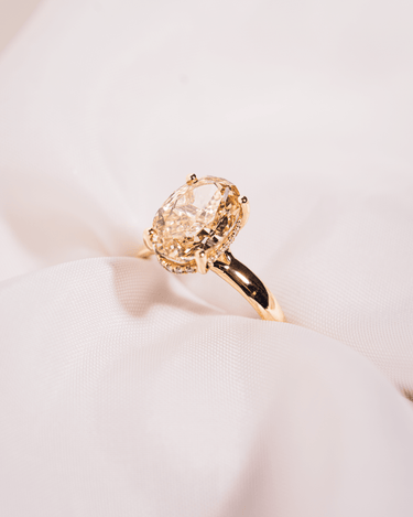 Abby - Oval (Yellow) - ZM Fine Jewelry