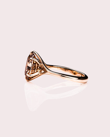 Norma - Oval (Champagne) - Zen Moissanite