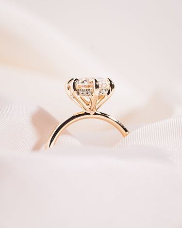 Ready to Ship - Harley - Round Brilliant (H&A) Moissanite - Zen Moissanite