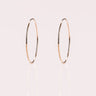 Ready to Ship - Hoop Earrings (Large) - Zen Moissanite