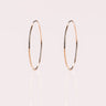 Ready to Ship - Hoop Earrings (Small) - Zen Moissanite